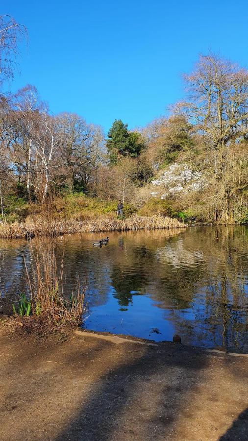 Kew Gardens - Private Double Room Richmond London - Homestay Ngoại thất bức ảnh