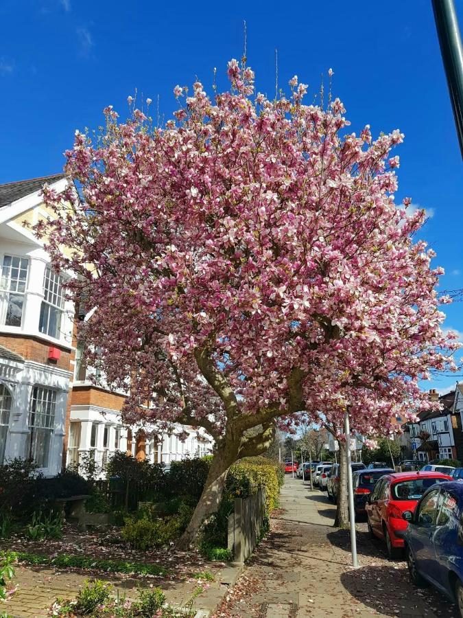 Kew Gardens - Private Double Room Richmond London - Homestay Ngoại thất bức ảnh