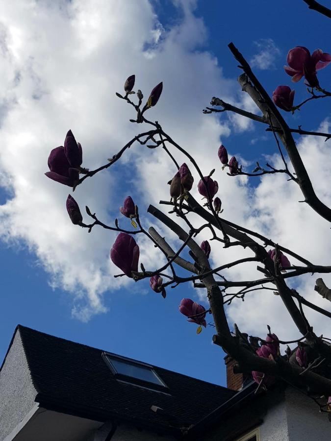 Kew Gardens - Private Double Room Richmond London - Homestay Ngoại thất bức ảnh